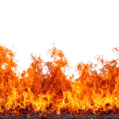 Fiery Inferno: A Wall of Intense Burning Flames Against a Black Background