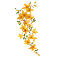 Vibrant Yellow Forsythia Branch Blooming in Springtime Delightful Floral Display