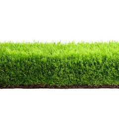 Vibrant Green Grass Texture with Soil Base a Lush Natural Background Image Ideal for Design Projects and Presentations