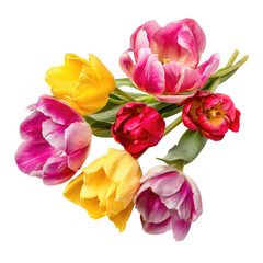 Vibrant Bouquet of Colorful Tulips: A Springtime Delight