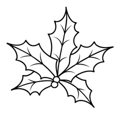 Holly Leaf Outline Botanical Illustration