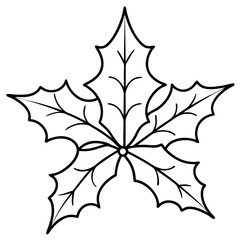Holly Leaf Outline Botanical Illustration