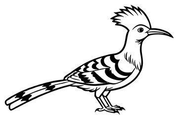 Hoopoe Silhouette Design