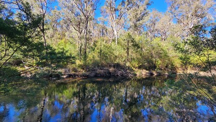 Mulligan's Campground, Gibraltor Range,  New South Wales, Australia
