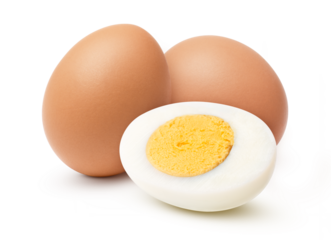 egg on a white background