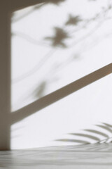 Concrete texture background with shadows from natural light streaming through a window.