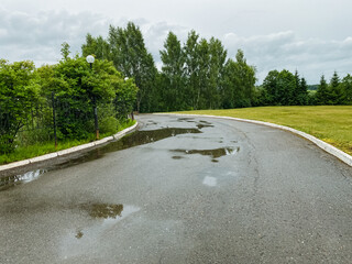 A wet road stretches out ahead, lined with tall, lush trees on either side, creating a tranquil...