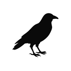 bird silhouette vector