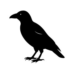 Silhouetted bird in flight against white background with shadow