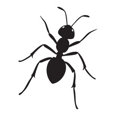 ant vector silhouette illustration
