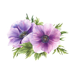 Anemone Watercolor purple flowers Bouquet. Windflowers Pink lilac and green buds isolated illustration. Arrangement of flower for wedding, birthday, valentines tag greeting card design. Hand painting.