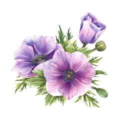 Purple Anemone Watercolor flowers Bouquet. Windflowers Pink lilac and green buds isolated clipart. Bunch of flower for wedding, birthday, valentines tag greeting card design. Hand drawn illustration