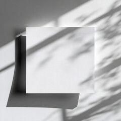 White Square Paper With Leaf Shadows mockup