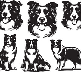 Border Collie Dog Vector – Silhouette 