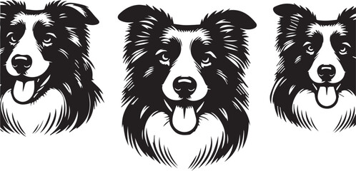 Border Collie Dog Vector – Silhouette 