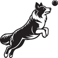 Border Collie Dog Vector – Silhouette 