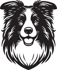 Fototapeta premium Border Collie Dog Vector – Silhouette 