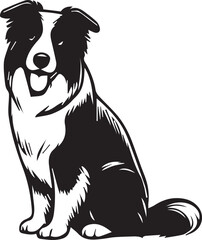 Border Collie Dog Vector – Silhouette 