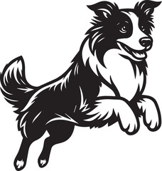 Obraz premium Border Collie Dog Vector – Silhouette 