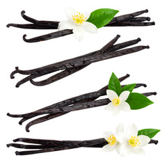 Aromatic Vanilla Beans with Delicate White Blossoms and Lush Green Leaves
