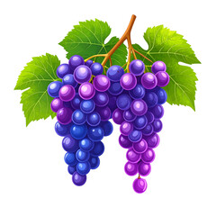 Two Bunches of Grapes with Green Leaves and a Brown Stem, Purple and Blue
