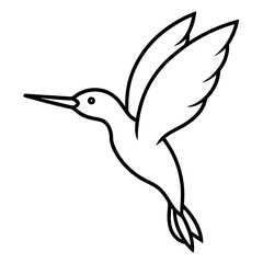 Obraz premium Elegant line art of a kingfisher bird in mid dive towards water