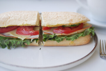 Fresh sandwich with lettuce, tomato, and turkey on plate