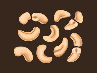 mete nut baked kacang roasted nature cartoon business harvest icon flat vegan cashew detail mede raw