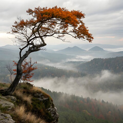 Lonely tree with orange autumn leaves on the edge of a quiet field, creating a peaceful and serene atmosphere.