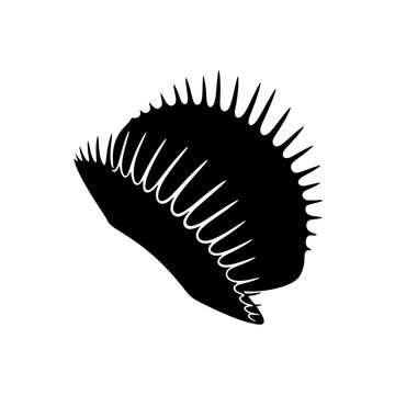 Silhouette of a Venus flytrap, showing its distinctive trap structure with trigger hairs.