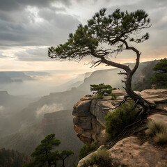 Serene landscape of a single windswept tree growing on a gentle hillside, surrounded by calm skies and soft natural light.