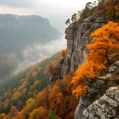 Sharp rocky cliff overlooking a forest of orange trees, with vibrant autumn colors and a clear sky, creating a striking natural view.