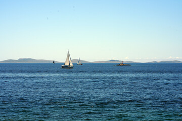 sailboat at sea
