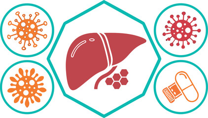Stylized Liver Illustration with Viruses and Medicine in Geometric Composition