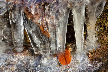 Amber leaf in an ice formation in Bolton Notch, Connecticut.
