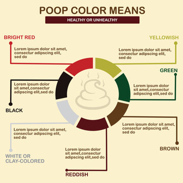 Infographic of Stool Color Meanings Related to Digestive Health