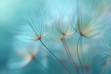 Delicate seed fluff floating in soft blue dandelion seeds