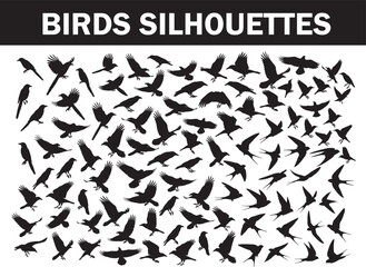 Diverse collection of various flying bird silhouettes in dynamic poses, perfect for nature-themed designs, abstract backgrounds, and ornithological illustrations with motion