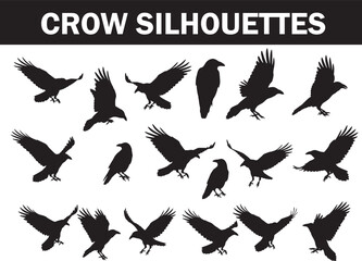 Obraz premium Large collection of various black crow silhouettes in different flying, standing, and perching poses, ideal for design elements and spooky Halloween themes