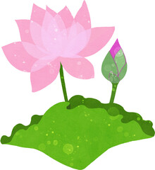 蓮の花と蕾と葉のイラスト素材