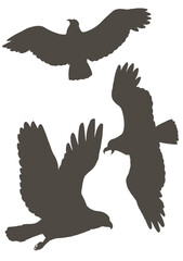 鷹、鷲、鳶のような鳥のシルエットのイラスト素材　ベクター