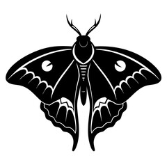 A detailed black vector illustration showcases the elegant silhouette of a luna moth, highlighting its delicate wings and unique shape against a neutral background.