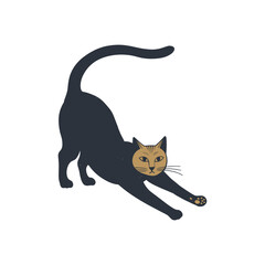 Cat silhouette with white background