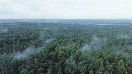 Aerial view of fog rolling over vast forest