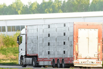 Livestock trailer truck on country road