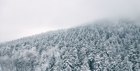 Frozen alpine landscape with snow-covered forest