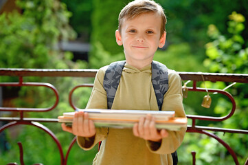 Caucasian boy carrying stack of books