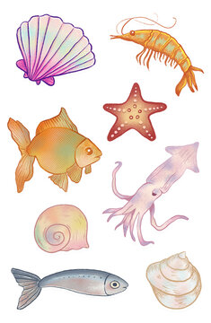 A set of sea animals