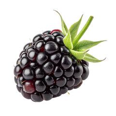 Single Ripe Blackberry with Green Stem, Close-up