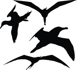Different birds set silhouette vector illustration. Sea birds silhouette vector.